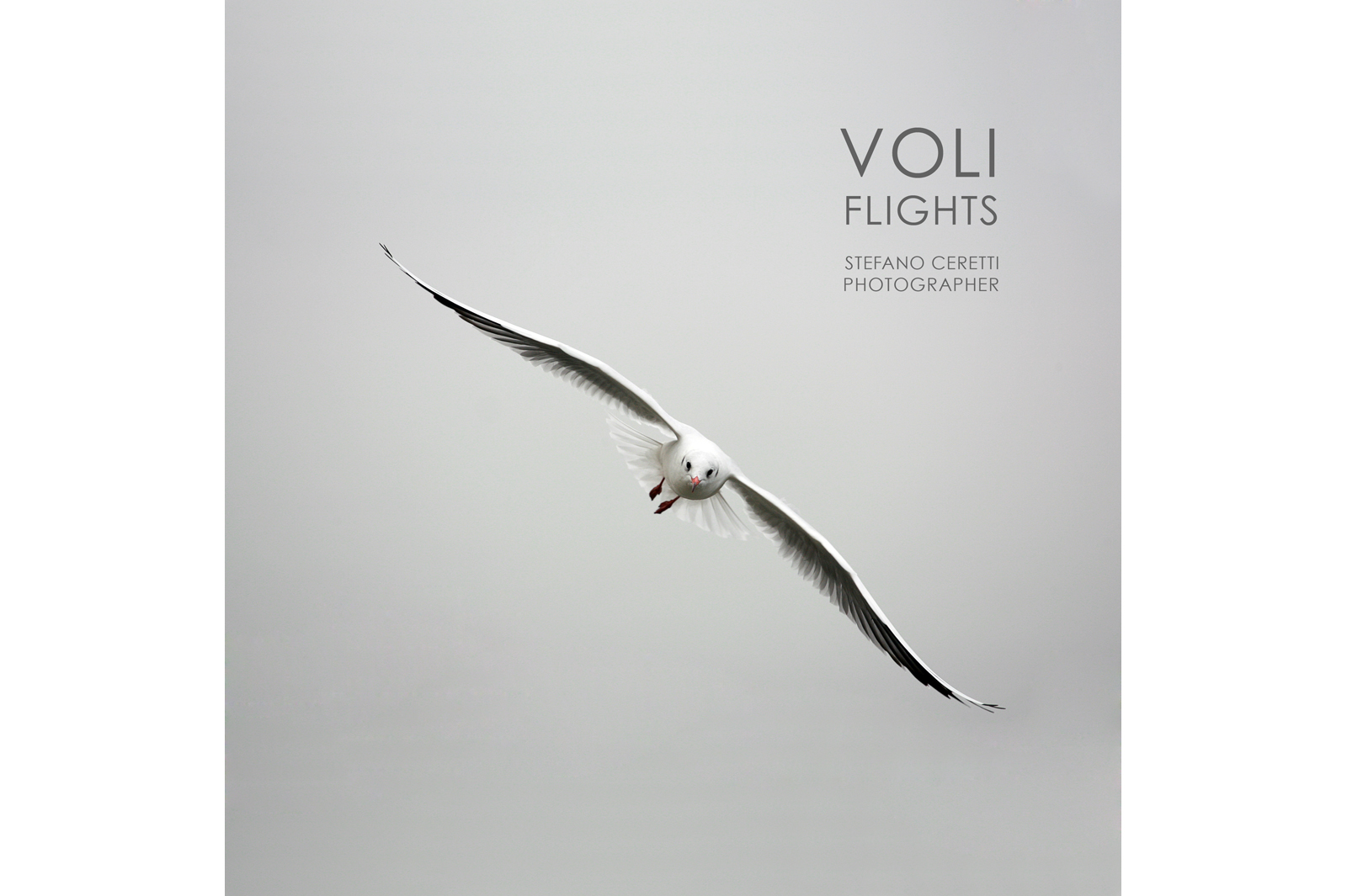 [arte] / VOLI-FLIGHTS