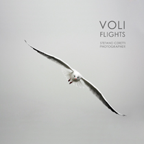 VOLI-FLIGHTS