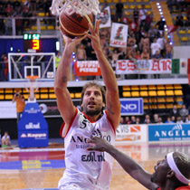 angelico pallacanestro biella